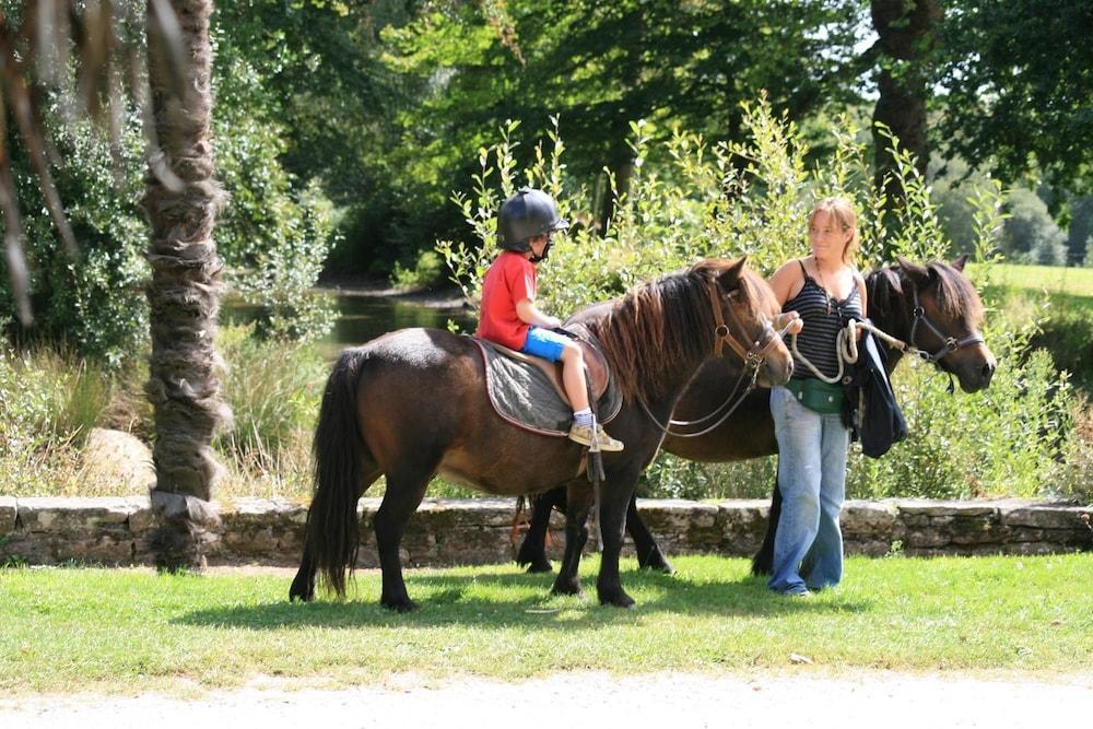 Domaine De L'Orangerie De Lanniron Hotel Quimper Kültér fotó